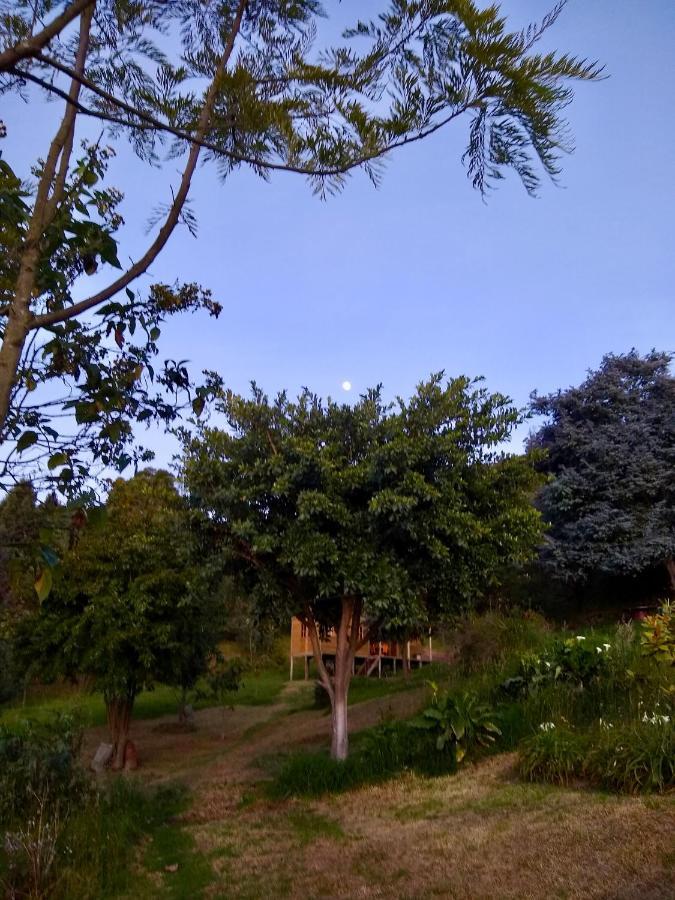 Cabana Agrreste (Adults Only) Nemocon 外观 照片